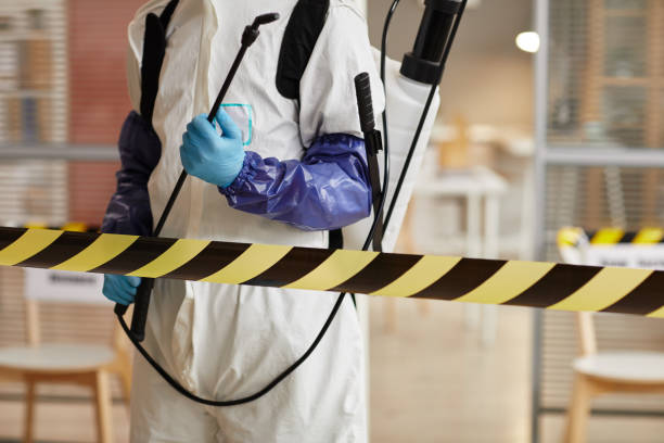 Professional Sewage Cleanup technician working in Tremonton, UT